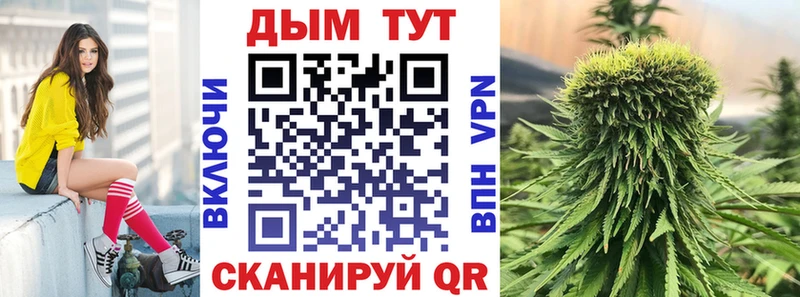 Как найти наркотики Жуков Бутират APVP Конопля КЕТАМИН COCAIN