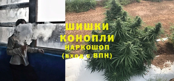 соль ск Кодинск