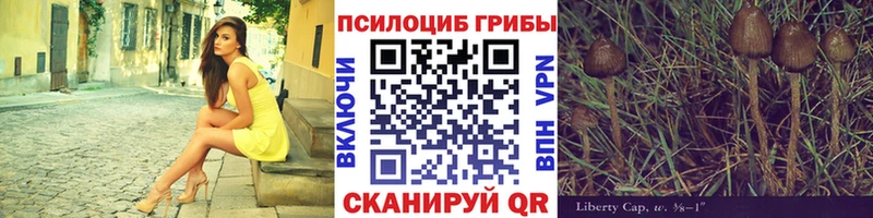 ссылка на мегу   мориарти Telegram  Галлюциногенные грибы ЛСД  наркотики  Жуков 