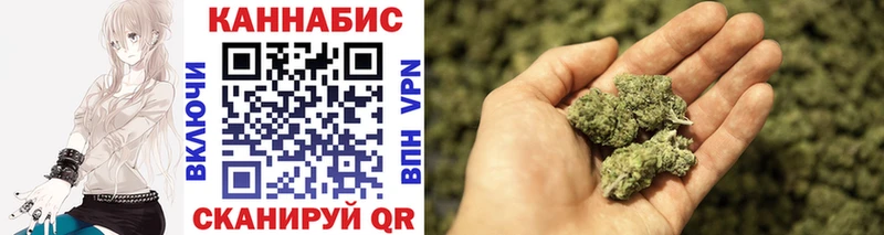 Бошки Шишки Amnesia  где купить наркоту  Жуков 